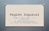 Región inguinal: Primera Parte (Miembro Pelvico)