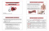 Presion Arterial  - Hipertension Arterial