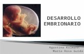Desarrollo embrionario primera parte
