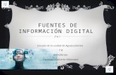 Presentación de Fuentes de Información Digital