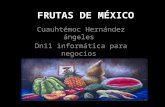 Frutas de mexico