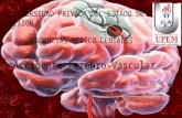 Accidente Cerebro-Vascular