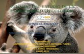 importancia de la biodiversidad en colombia