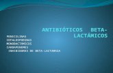 antibioticos betalactasmicos