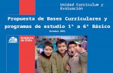Bases curriculares egb