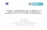 Presentación Colombia – Desafíos y oportunidades para la equidad en el acceso a servicios de salud / Laura Pineda , Ministerio de Salud y Protección Social, Colombia