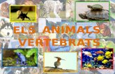 Els animals vertebrats 2n B