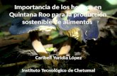 Importancia de los hongos en Quintana Roo