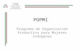 Programa de Organización Productiva para Mujeres Indígenas