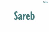 131771987 presentacion-sareb-banco-malo