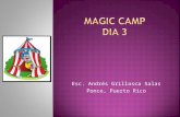 Nombre del Campamento! Magic Kids!! Esc. Andres Grillasca, Ponce