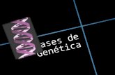 Bases de genética