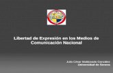 Libertad de expresión en los medios de comunicación nacional (presentación)