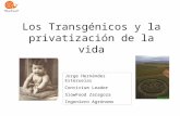 Los transgénicos y la privatización de la vida - Jorge Hernández