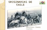 Culturas originarias de_chile