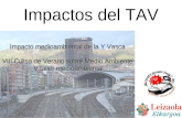 Impacto Medioambiental del TAV en la Y Vasca.