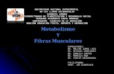Fisiologia   expo metabolismo y fibras musculares