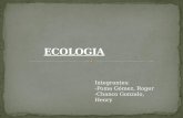 Ecologia (extincion de animales y plantas)