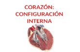 Corazón - configuración interna