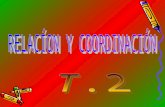 T.2  r. coordinacion