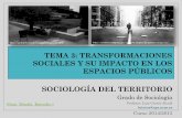 Tema 3. transformaciones sociales actuales y su impacto sobre los espacios públicos
