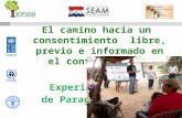 El camino hacia un consentimiento libre, previo e informado en el contexto REDD+. Experiencia de Paraguay.