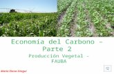 Carbono 2 pv_con_audio-2015