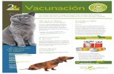 Vacunación de mascotas