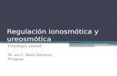 Regulación ionosmótica y ureosmótica