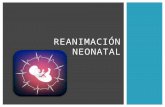 Reanimación neonatal