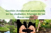 Gestión Ambiental sustentable en las ciudades: Manejo de las Áreas verdes
