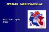 Aparato cardiovascular1-1198308560446935-5