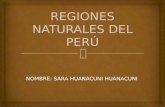 Regiones naturales del perú