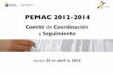2013 04-25 programa estratégico para la modernización y mejora de los servicios públicos-comité de coordinación y seguimiento