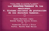 Orozco, H. sistema nacional de protección de los D H