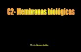 C2 membranas pdf1