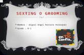 Sexting o grooming trabajo