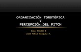Organización Tonotópica y Percepción del Pitch