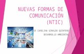 NUEVAS FORMAS DE COMUNICACIÓN (NTIC)