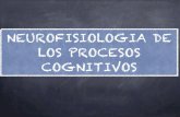 Neurofisiologia de la cognicion