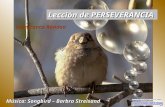Gianfranco rondon leccion de perseverancia-4883