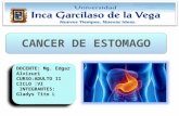 Cancer gastrico 555
