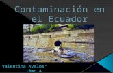 Contaminación en el ecuador
