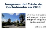 Imágenes del Cristo de Cochabamba en 2011