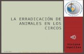 La Erradicaci³n de Animales en los Circos