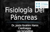 Fisiología del páncreas