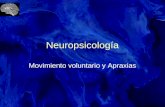 Neuropsicologa y Apraxias