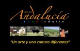 Presentación Andalucía Inédita