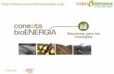 Evolución de los municipios en la incorporación a la bioenergía