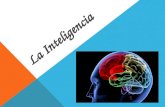 3C CSJP - La Inteligencia